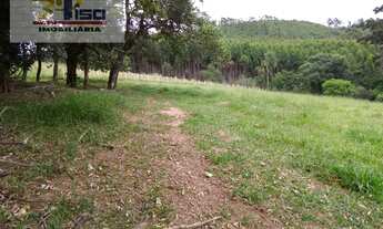 Imagem 6: Sítio em Centro - Pinhalzinho