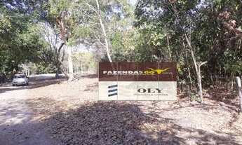 Imagem 6: Fazenda de Oportunidade ! Região de Goiás Velho ! 189 Alqueires !