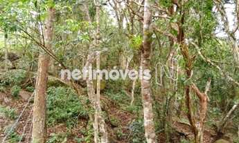 Imagem 5: Venda Lote-Área-Terreno Sambaqui Florianópolis