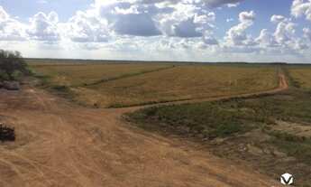 Imagem 3: LAGOA DA CONFUSãO - Sítio - Centro