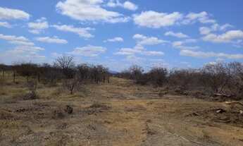 Imagem: Área próximo ao loteamento Vale das Umburanas