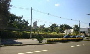 Imagem: ÁREA EM AVENIDA NA ENTRADA DA CIDADE