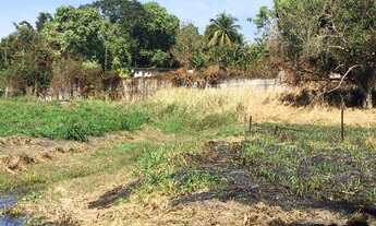 Imagem 5: Fazenda/Sítio/Chácara para venda tem 20.000 m² com 4 quartos