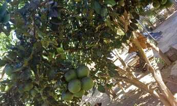 Imagem: Vendo chácara