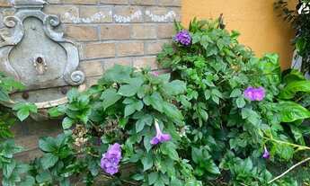 Imagem 4: Lindo sobrado em condomínio no Urbanova I