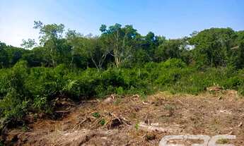 Imagem 11: Terreno | Balneário Barra do Sul