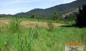 Imagem 6: Lindo sítio em bairro de fácil acesso