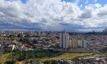 Imagem 3: Apartamento para aluguel tem 51 metros quadrados com 2 quartos