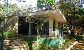 Imagem 7: Lote de 1.040m2, com leve declive ,100% utilizável, otima localizaçãoo