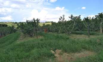 Imagem 5: Sítio à venda, 2 quartos, 1 suíte, Reforma Agrária - Valinhos/SP