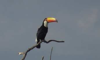Imagem 14: TERRENO EM CONDOMÍNIO FECHADO