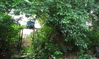 Imagem 4: Área na Forquilha à venda, 1.284 m² por R$ 700.000 - Aurora - São Luís/MA