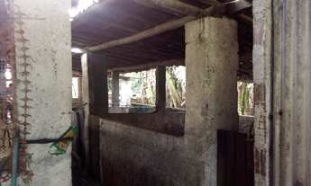 Imagem 6: Vendo Este Terreno