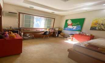 Imagem 3: Chácara dentro da cidade