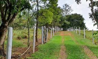 Imagem 5: Sitio - Recanto Sonhado - Bela Vista de Goiás