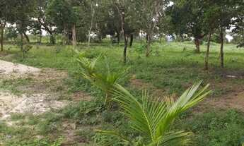 Imagem 5: Chácara Chácara com venda por R$300.000