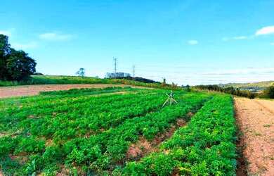 Imagem 6: Lote/Terreno para venda com 500 metros quadrados em Vila Pindorama - Barueri - SP