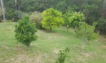 Imagem 7: Rural de 5000 metros quadrados no bairro Ipelândia com 4 quartos