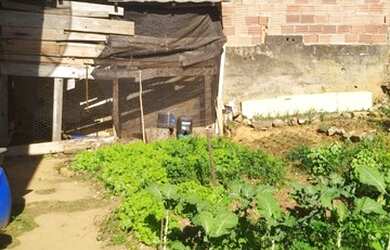 Imagem 3: Ponte Nova - Loteamento/Condomínio - São Geraldo