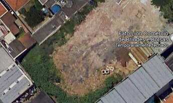 Imagem 2: Terreno para alugar, 1500 m² por R$ 7.000,00/mês - Vila Santa Catarina - São Paulo/SP