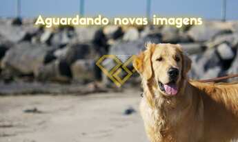 Imagem: Apartamento à venda, 3 quartos, 3 suítes