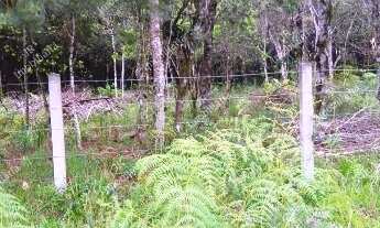 Imagem 7: Excelente Chácara Sem Benfeitorias