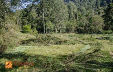 Imagem 4: Terreno - Rio Rufino SC