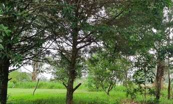 Imagem 7: Águas claras, lindo sítio 3 hectares com casa e piscina, vista de tirar o fôlego!