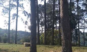 Imagem 4: Sítio com cachoeira em São Roque