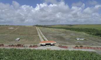 Imagem 7: Terreno em Pitimbu - TE0045