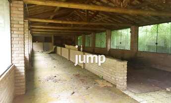 Imagem 4: Terreno à venda, 20069 m² por R$ 500.000,00 - Santa Tereza - São Pedro de Alcântara/SC