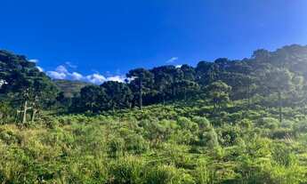Imagem 6: Chácara em Urubici com parcelamento direto