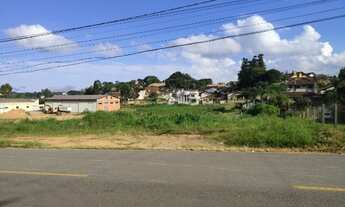 Imagem 5: Terreno para Venda, 6.086,90 m², São Bento do Sul / SC, bairro Rio Negro