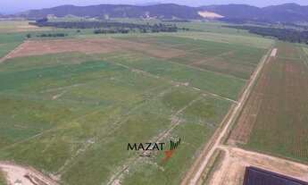 Imagem 6: Terreno rural de 167 hectares em Tijucas SC