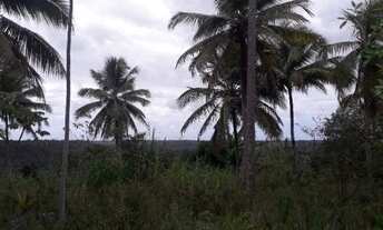 Imagem 5: Chácara 18 tarefas em Conde