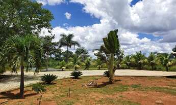 Imagem 5: Fazenda/Sítio/Chácara para venda - 5000m² - Glaucilândia -MG