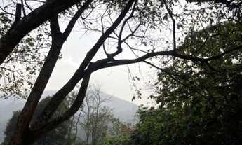 Imagem 5: R4-Lançamento de dar água na boca!