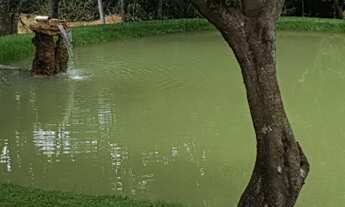 Imagem 4: Sitio - Recanto Sonhado - Bela Vista de Goiás