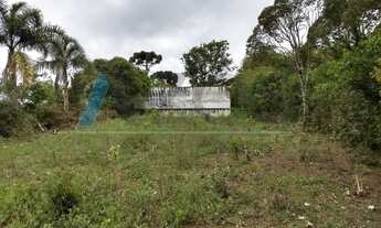 Imagem 2: EXCELENTE TERRENO 12X40 LOCALIZADO NO CANGUIRI EM COLOMBO