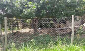 Imagem 2: Fazenda/Sítio/Chácara para venda tem 200 metros quadrados com 2 quartos