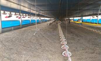 Imagem 5: Sitio Granja-Morungaba/SP/BR