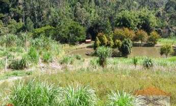 Imagem 7: Lindo sítio em bairro de fácil acesso
