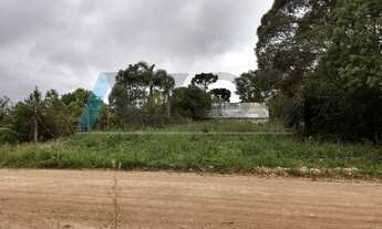 Imagem 6: EXCELENTE TERRENO 12X40 LOCALIZADO NO CANGUIRI EM COLOMBO