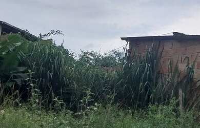 Imagem 4: Area 20 mil Terreno / lote com venda por R$20.000