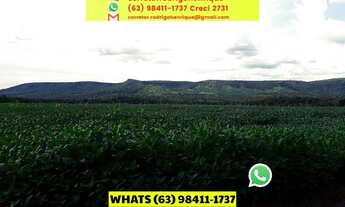 Imagem 9: Fazenda Dupla Aptidão em Lavoura Porto Nacional