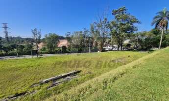 Imagem 12: SAO PAULO - Terreno Padrão - Colônia (Zona Leste