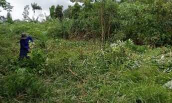 Imagem 2: Terreno barato pra lazer em Presidente Figueiredo