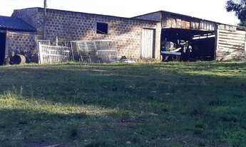 Imagem 6: Pinheiro Machado - Fazenda - Zona Rural