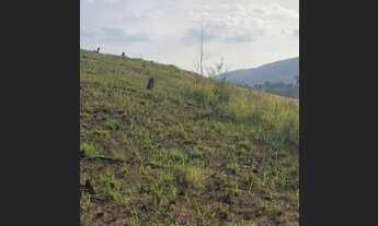 Imagem 6: Chácara e terrenos