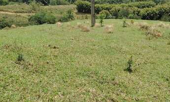 Imagem 7: Lote/Terreno para venda possui 600 metros quadrados em Jardim Guimarães - Guarulhos - SP